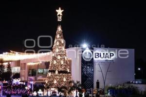 BUAP . ÁRBOL NAVIDEÑO