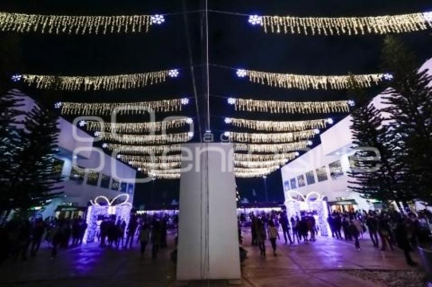 BUAP . ÁRBOL NAVIDEÑO