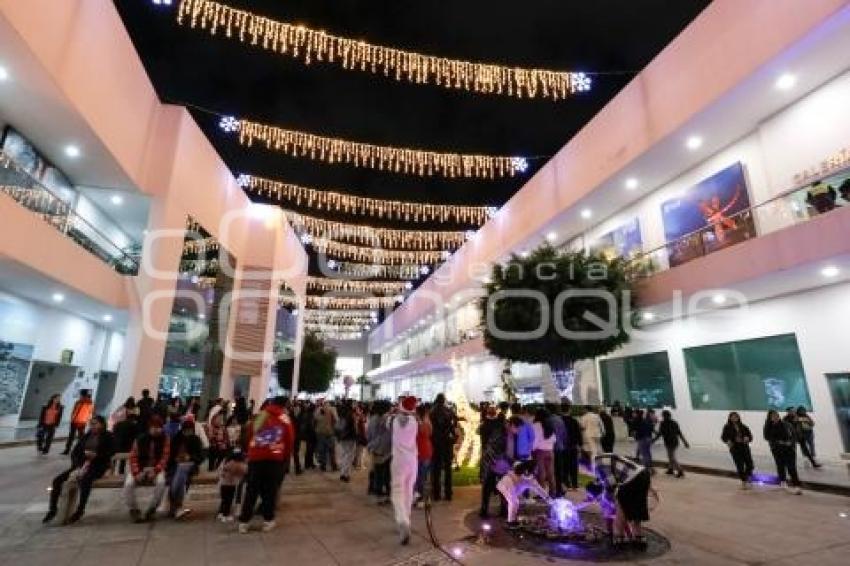 BUAP . ÁRBOL NAVIDEÑO