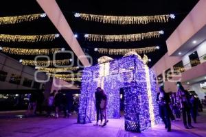 BUAP . ÁRBOL NAVIDEÑO