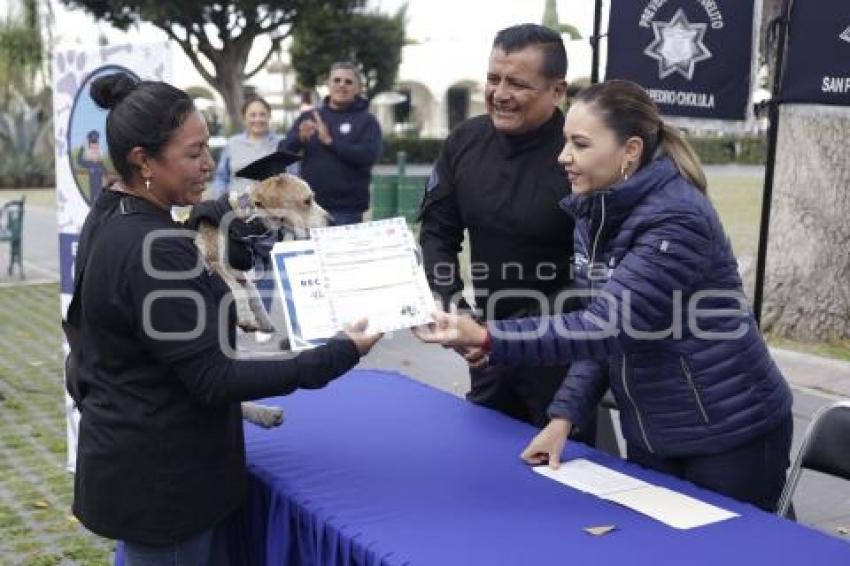 SAN PEDRO CHOLULA . ADIESTRAMIENTO CANINO