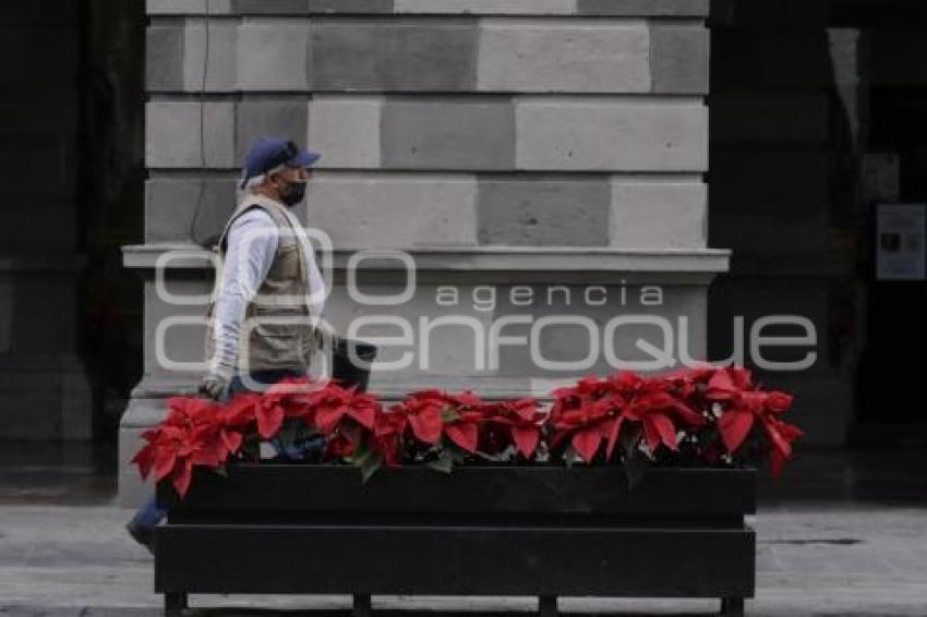 AYUNTAMIENTO . NOCHEBUENAS