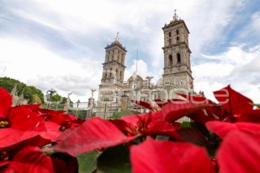 CATEDRAL . NOCHEBUENAS