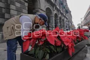 AYUNTAMIENTO . NOCHEBUENAS