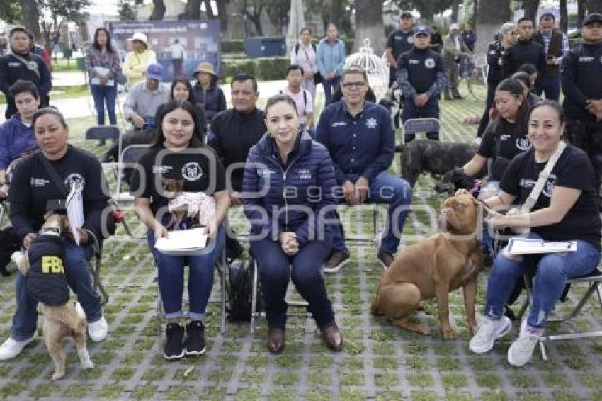 SAN PEDRO CHOLULA . ADIESTRAMIENTO CANINO