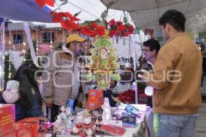 TLAHUAPAN . FERIA DEL PINO Y LA TRUCHA