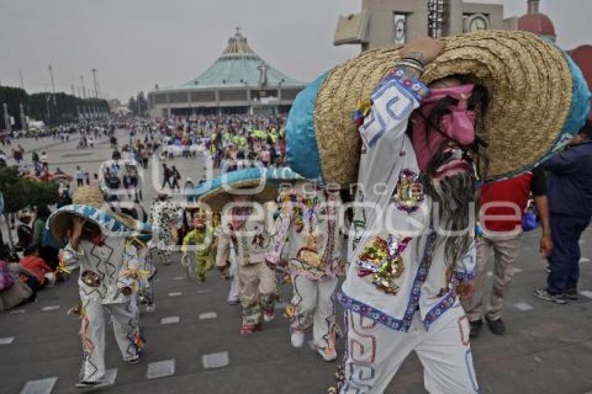 BÁSILICA DE GUADALUPE . TECUANES