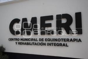 CMERI