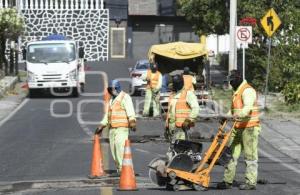 TLAXCALA . BACHEO