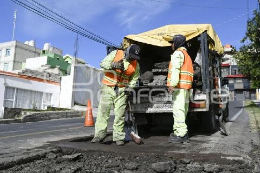 TLAXCALA . BACHEO