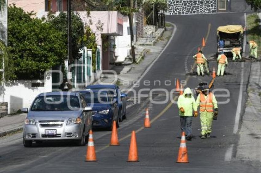 TLAXCALA . BACHEO