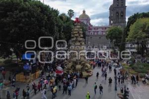 ZÓCALO . SISMO