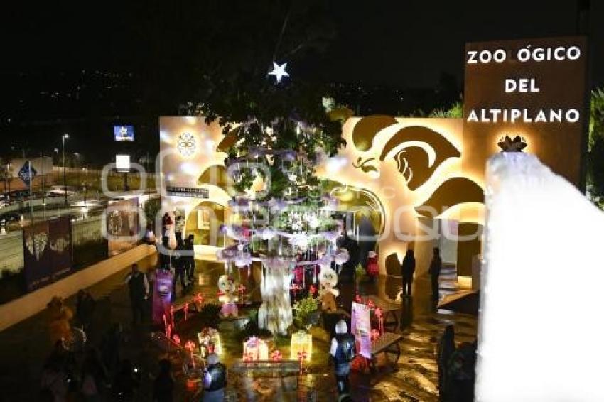 TLAXCALA . ÁRBOL NAVIDEÑO