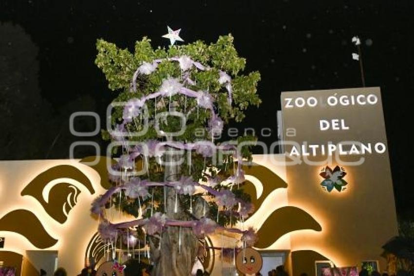 TLAXCALA . ÁRBOL NAVIDEÑO