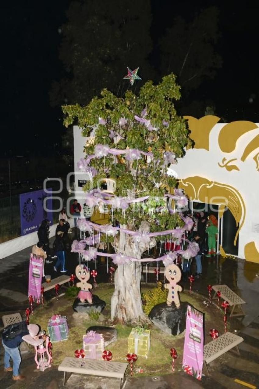 TLAXCALA . ÁRBOL NAVIDEÑO