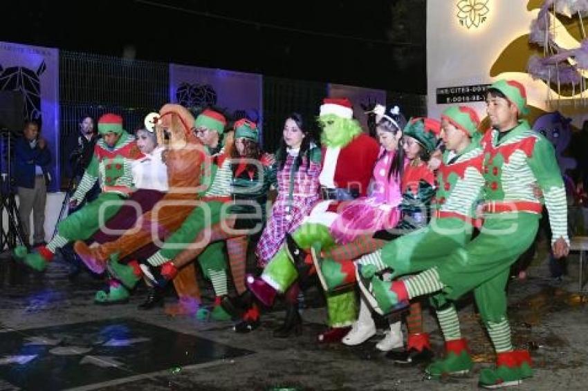 TLAXCALA . ÁRBOL NAVIDEÑO