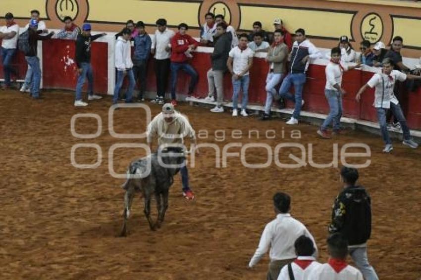 TLAXCALA . SUELTA DE VAQUILLA