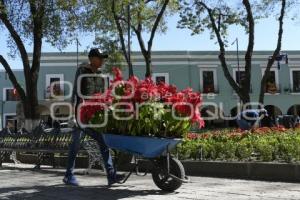 TLAXCALA . NOCHEBUENAS