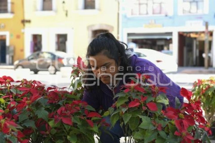 TLAXCALA . NOCHEBUENAS