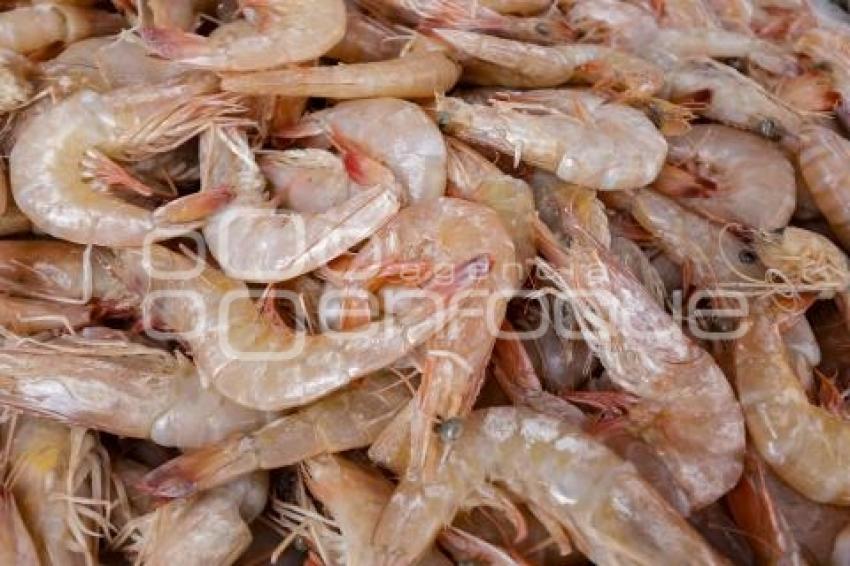 VENTA DE MARISCOS