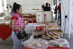 SAN PEDRO CHOLULA . EXPO ROSCA 2024