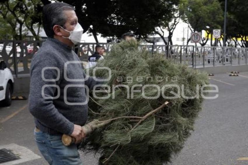 RECICLAJE . ÁRBOLES DE NAVIDAD