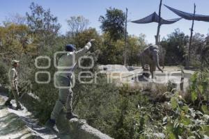 AFRICAM SAFARI . VERDE NAVIDAD