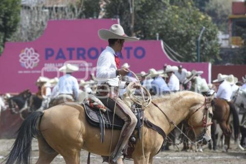 TLAXCALA . COLEADERO