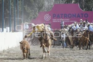 TLAXCALA . COLEADERO