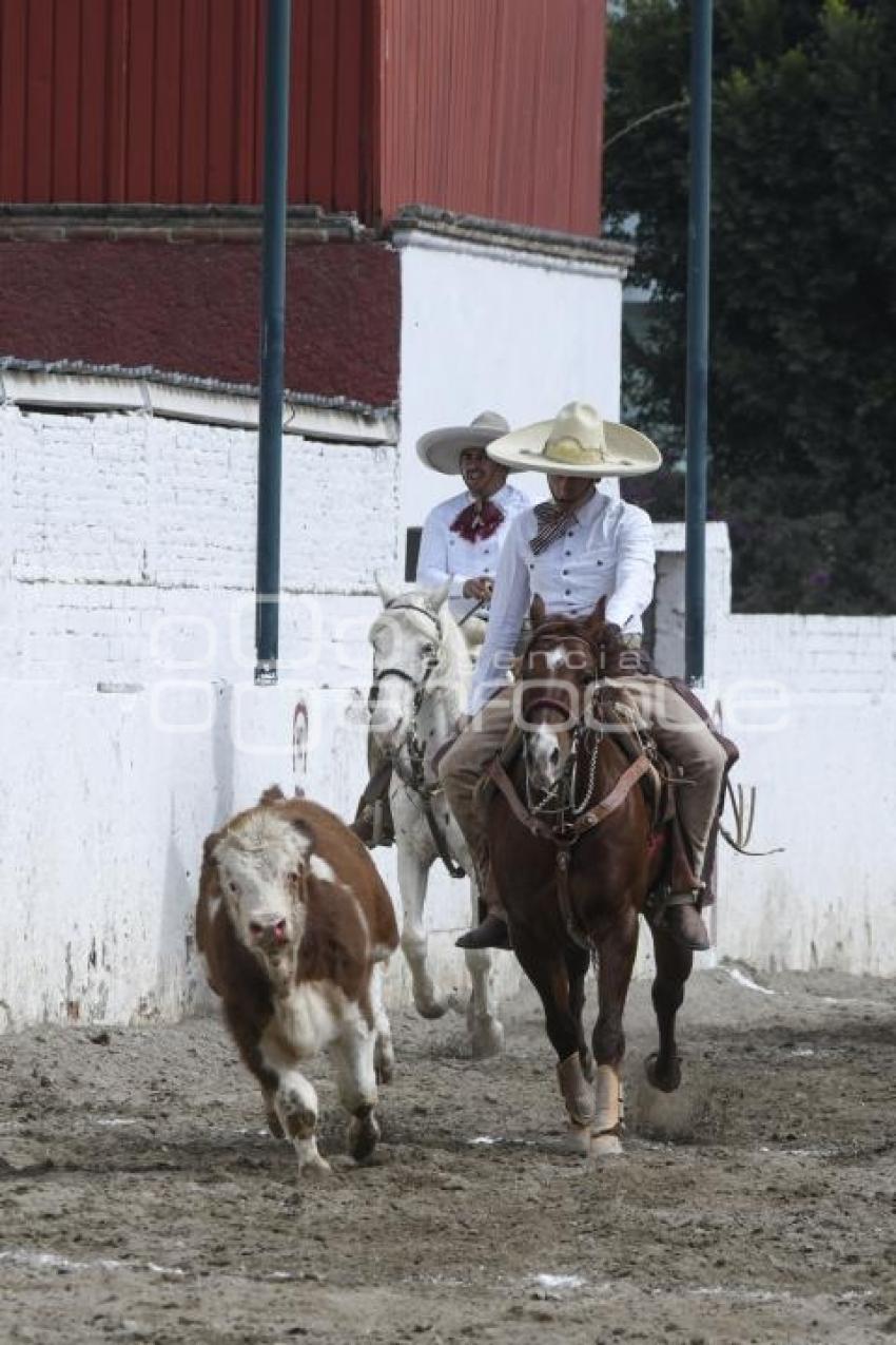 TLAXCALA . COLEADERO