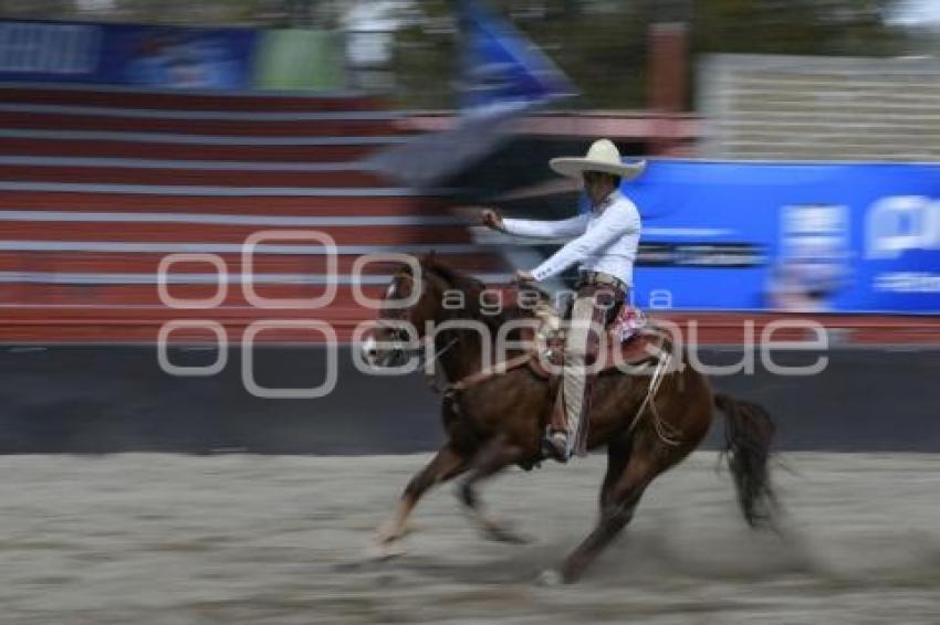 TLAXCALA . COLEADERO