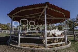 SANTUARIO CUACOLANDIA