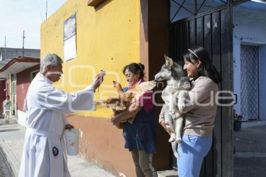 TLAXCALA . BENDICIÓN ANIMALES