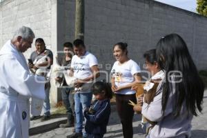 TLAXCALA . BENDICIÓN ANIMALES