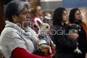 BENDICIÓN DE ANIMALES