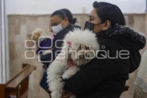 BENDICIÓN DE ANIMALES