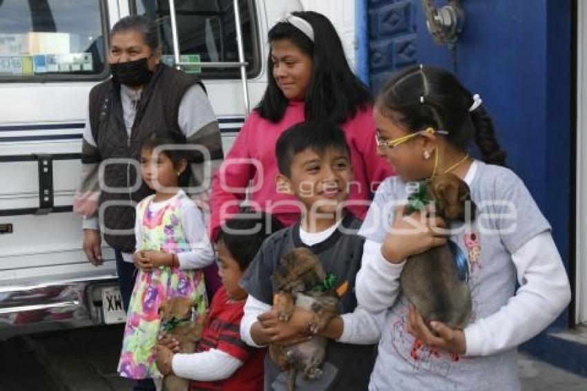 TLAXCALA . BENDICIÓN ANIMALES