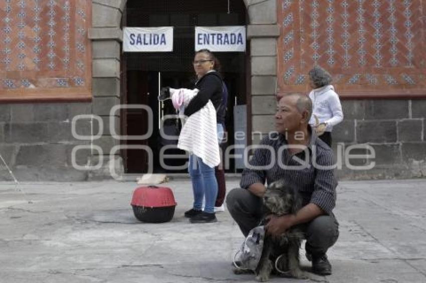 BENDICIÓN DE ANIMALES