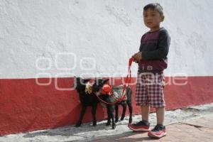 TLAXCALA . BENDICIÓN ANIMALES