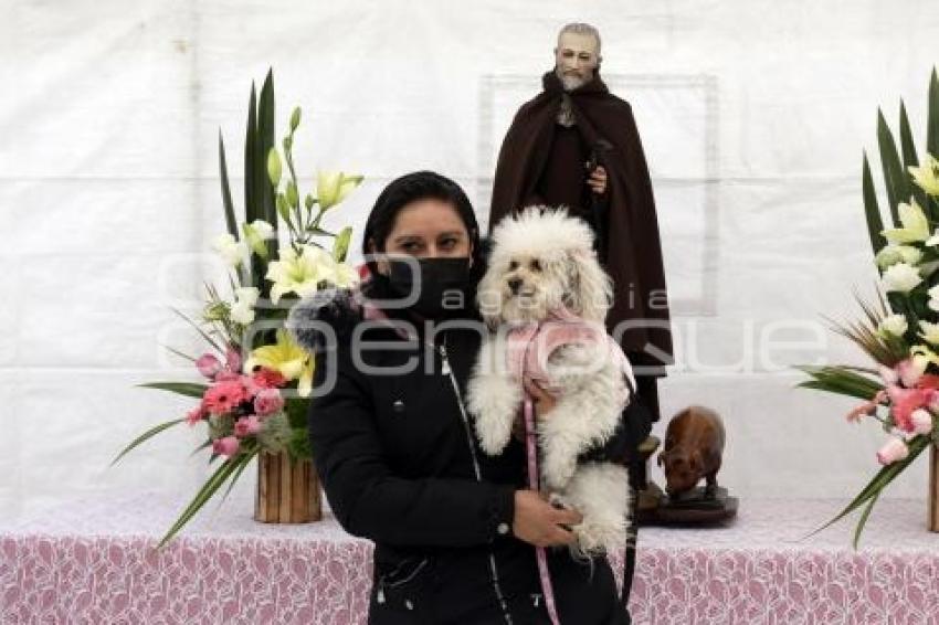 BENDICIÓN DE ANIMALES