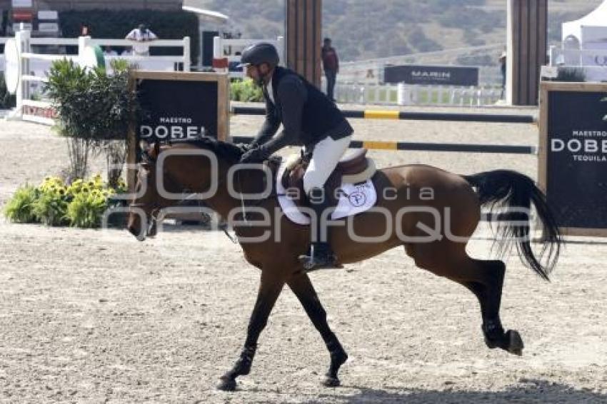 TORNEO EQUESTRIAN TOUR 