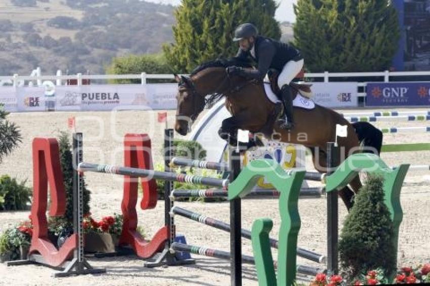 TORNEO EQUESTRIAN TOUR