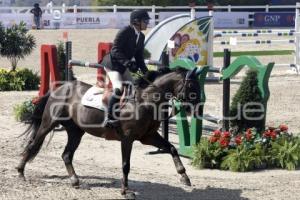 TORNEO EQUESTRIAN TOUR 