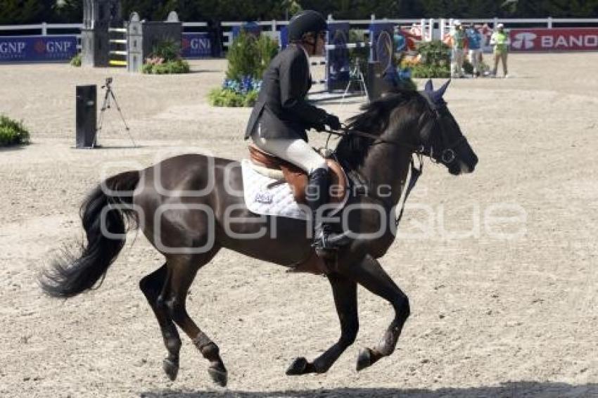 TORNEO EQUESTRIAN TOUR 