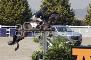 TORNEO EQUESTRIAN TOUR 