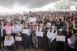 ENTREGA DE FERTILIZANTE