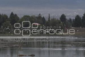 TLAXCALA . LAGUNA ACUITLAPILCO