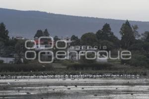 TLAXCALA . LAGUNA ACUITLAPILCO