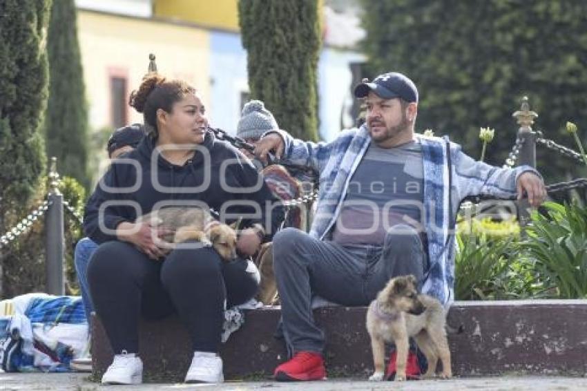 TLAXCALA . JORNADA DE ESTERILIZACIÓN