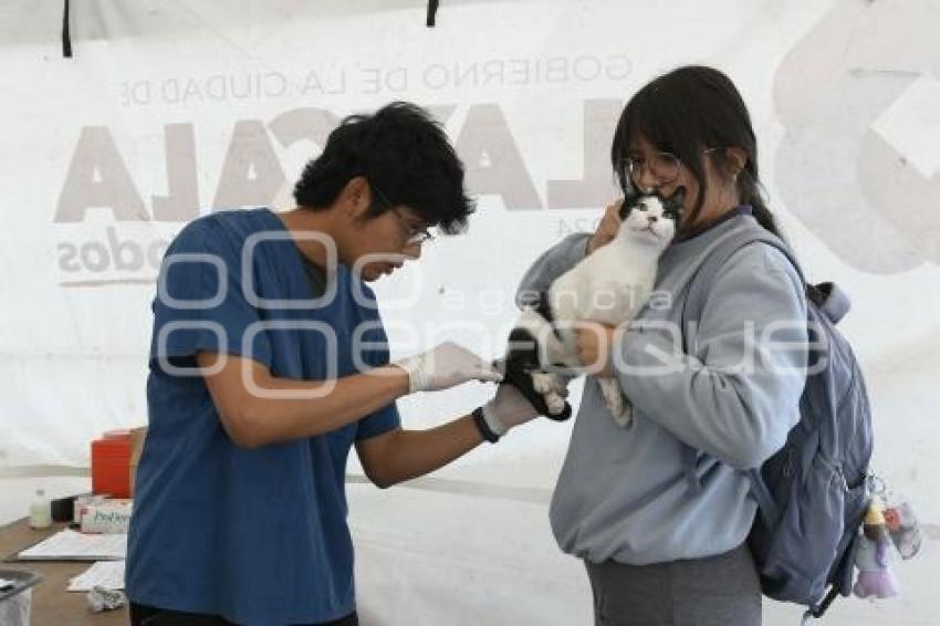 TLAXCALA . JORNADA DE ESTERILIZACIÓN